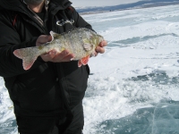 Рыбалка в Монголии Озеро Лебяжье